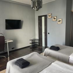 2-местный номер стандарт Сталь