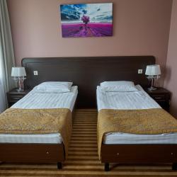 2-местный номер стандарт (с завтраком)