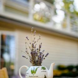 Фото Парк-отель Песчаный