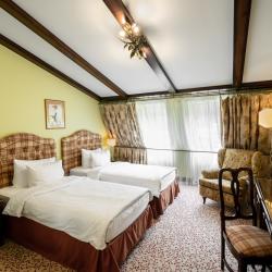 Номер делюкс с 2 односпальными кроватями (мансарда)