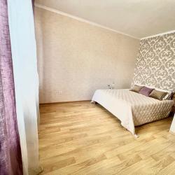 Апартаменты стандарт улица Пушкина, 24к2