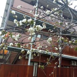 Фото Отель Arbuz (Арбуз)