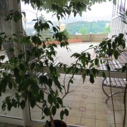 Фото Отель Кубань