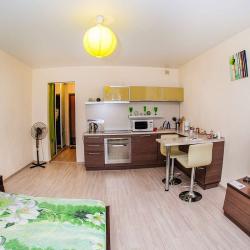 Фото Отель Квартирка-НСК в Горском 75