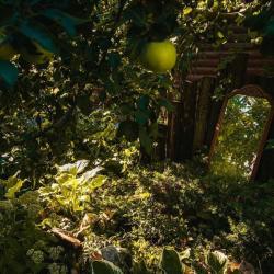 Фото Отель Эгоист