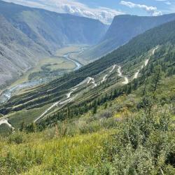 Фото Отель Алтай Эко Кедр
