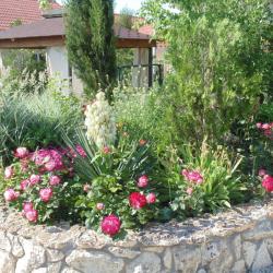 Фото Отель Соната