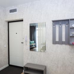 2-комнатные апартаменты люкс Красный проспект 167/3