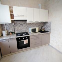 Фото Апартаменты на проспекте Ленина 33