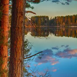 Фото Отель Киногородок