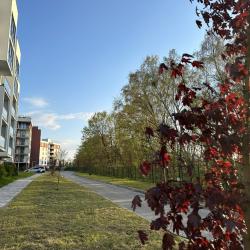 Фото Отель Baltic Resort (Балтик Резорт) на Ольховой 19 к6