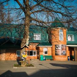 Фото Spa-Парк отель Дубрава