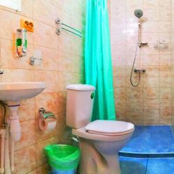 Фото Отель Зелёный колобок