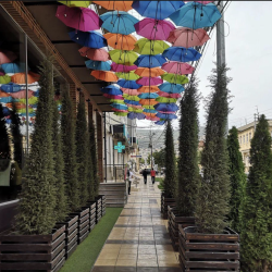 Фото Отель Park Avenue (Парк Авеню)
