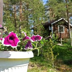 Фото Отель Домик в Харвиа