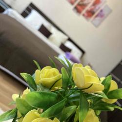 1-комнатные апартаменты стандарт