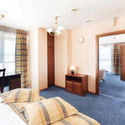 2-комнатный номер люкс с 1 двуспальной кроватью