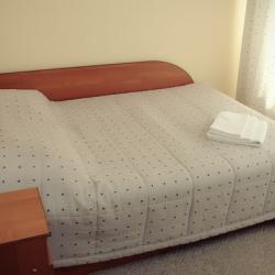 Фото Отель Лада