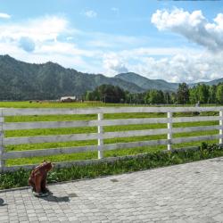 Фото Отель Альпинс residence