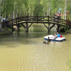 Фото Отель Ruza Family Park and SPA (Руза Фэмили Парк и Спа)