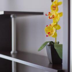 4-местный номер улучшенный семейный