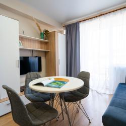 Апартаменты студия с диваном №3