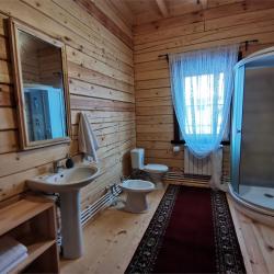 Коттедж премиум Шереметьевский