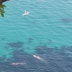 Фото Отель Астра