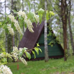 Фото Отель Калтай парк