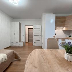 1-комнатные апартаменты студия