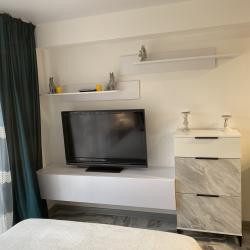 Фото Апартаменты на улице Пластунская 100Б