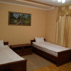 Номер стандарт с 2 односпальными кроватями (с завтраком)