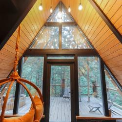 Фото Отель Хвойная хижина