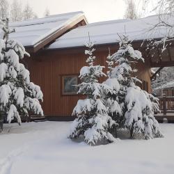 Фото Отель Дом В1 на базе отдыха Новинки Парк