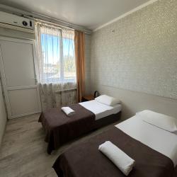 2-местный номер стандарт с 2 односпальными кроватями