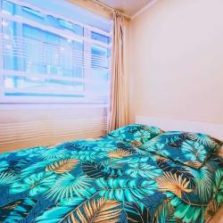 Фото Апартаменты на улице Цветочная 44 корпус 3