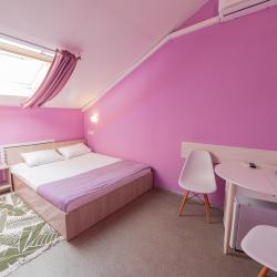 2-местный номер стандарт с 1 двуспальной кроватью (мансарда)