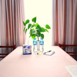 Фото Апартаменты на улице Серова 2