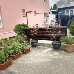 Фото Отель Тихое море