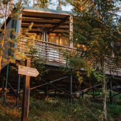 Дачи (первая линия)