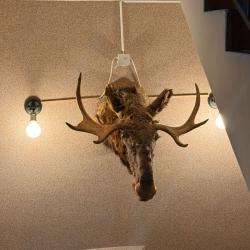 Номера в Пушкине — 76fb17137abb5dec939fdfd1c1c1c9ac