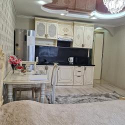 1-комнатные апартаменты студия