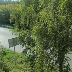 Фото Отель Живитут.рф