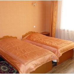 2-местный номер стандарт с 2 односпальными кроватями