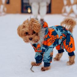 Фото Отель Эко Парк Тепло