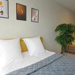 Апартаменты улучшенные Иваново, ул.Наумова, 5