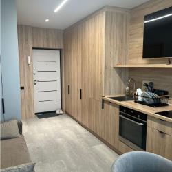 1-комнатные апартаменты студия