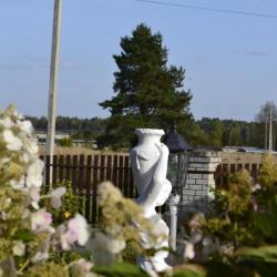 Фото Отель Гостевой дом Волга