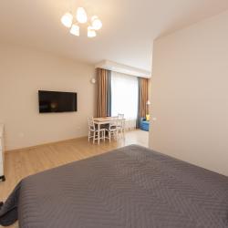 1-комнатные апартаменты студия