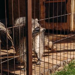 Фото Отель Villa Malina (Вилла Малина)